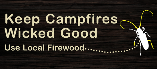 Keep campfires wicked good - use local firewood.